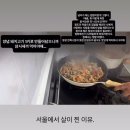 제주 애견 아가야 | 옛날에 쉬지않고 돌아다니는 사람이 있었은 ...