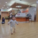 [짐보리]돌아기짐보리,평촌과천짐보리,짐보리