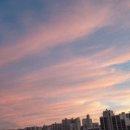저녁 영어원서 낭독 이미지