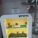 델리에프에스델리첨단산업