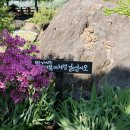 정원산책 카페 | 옥천 수생식물학습원 천상의 정원 | 대청호 호수 위의 찻집 카페 더 레이크 산책 후기