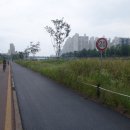 군자교