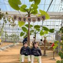 아름이농장 이미지