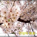 골드건강원