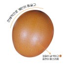 좋은계란 이미지