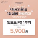 모드라인 이미지