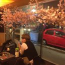육회한피쉬