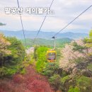 11500-5-51-07 | 팔공산 케이블카 대구 여행 가볼만한곳 시간 및 맛집 (+ 갓바위 안내)