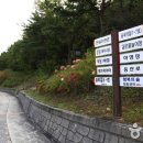 성주봉자연휴양림 야영장 이미지