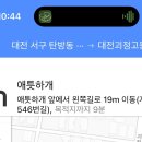 애틋하개 이미지