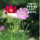 만남의장소 이미지