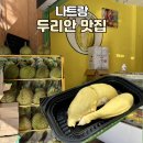 나트랑 두리안 맛집 과일가게 추천! 두리안 입문자에게 강추하는 내돈내산 찐 후기