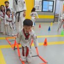 경민대 삼현충효태권도장 이미지