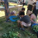 전의를디자인하는사람들 이미지