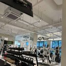 킴브로짐 헬스PT 이미지