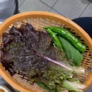 장유 맛집_ 대동헌 뒷고기 솔직 후기