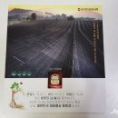 풍기인삼제조원 이미지