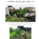 새롬민박 이미지