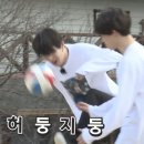 영덕 칠보산 오토캠핑장 이미지