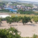 감불농장 이미지