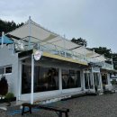 (11/21)반려동물 수제간식 고구마쿠키 이미지