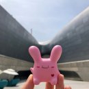 라빗플래닛 이미지