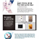 브이엘 이미지