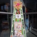 뮤지컬 '두 도시 이야기' 배우 정상훈 응원 계란드리미화환 - 쌀화환 드리미 이미지