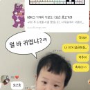 콧구넝 바람쐬기