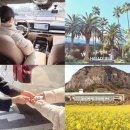 주식회사 더세이프렌터카 | 제주도 렌트카 추천 전용 기사 공항 픽업 샌딩 제주 렌트카 예약 더세이프렌터카