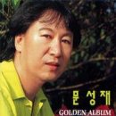 부산갈메기 이미지