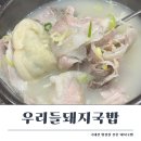 우리들 돼지국밥 | 마산 석전동 맛집 우리들 돼지국밥 방문 후기- 국내산 항정살로 만든 수육백반, 고기순대가 맛있는 곳...