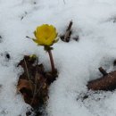 곰배령 팜스테이 이미지