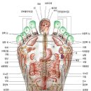 효자손안마원 이미지