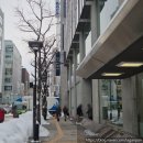 메이드 | 북해도 여행 삿포로 쇼핑 빔즈 휴먼메이드 매장 방문 후기