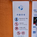 여수 아쿠아플라넷 입장권 할인·주차·벨루가 솔직 후기