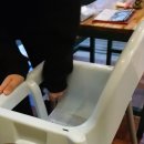 에머이대전 네이버블로그