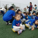 다연유치원 이미지