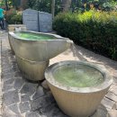 가 곡 | 대만 타이베이 가볼만한 곳 베이터우 지열곡[地熱谷], 기념품 상점, 카페 후기