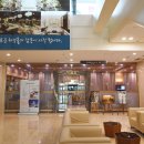 라온제나 이미지