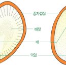 오늘도예쁜아이