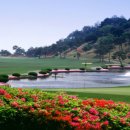 신안컨트리클럽 이미지