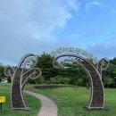 제주오름태양광발전소 | [제주도 한달살기 특집] 28일차 - 수망리 마흐니숲길, 민오름, 물영아리오름