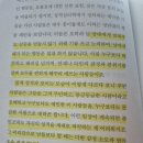 세븐일레븐 김해진영여래점 | 김해 진영 실내놀이터 &#34;스카이랜드&#34; 다녀왔어요