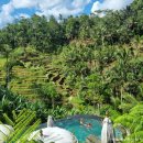 동부카서비스 | 발리 렌터카 택시투어 공항 호텔 픽업 샌딩 자유여행 코스
