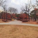 호동 초등학교 병설유치원 이미지