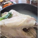 2호선 을지로입구역 02 | 명동 을지로 입구역 맛집 백제삼계탕 다녀온 후기, 56년 전통이 느껴졌던 점심 한 끼