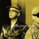 펫대디(Pet Daddy) 이미지