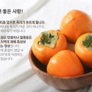 대봉 이미지