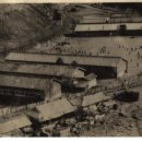 철암초등학교 이미지